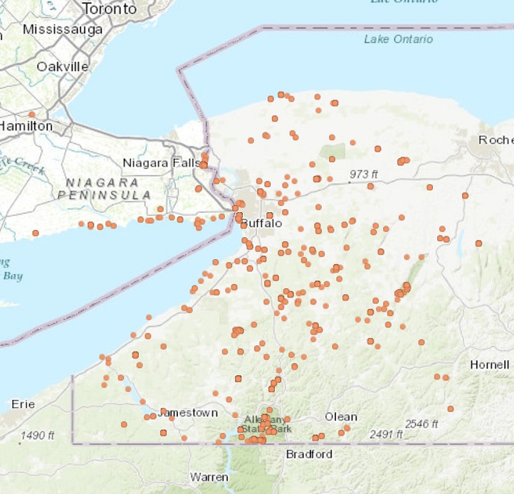 Map of lichen