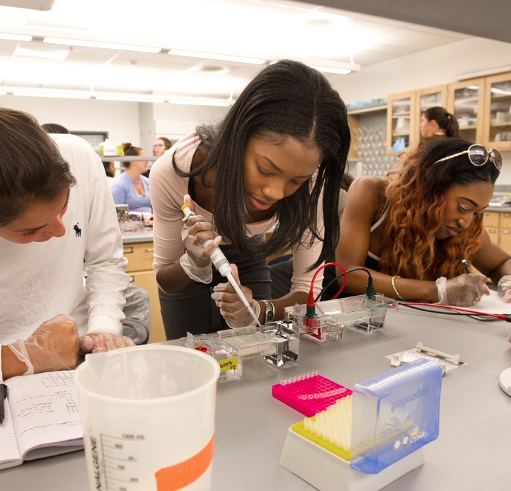 Students in the biology lab